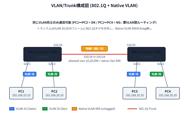 CCNA VLAN/Trunk構成図 - access port、trunk port、Native VLAN、802.1Qタグの関係を示すネットワーク構成図